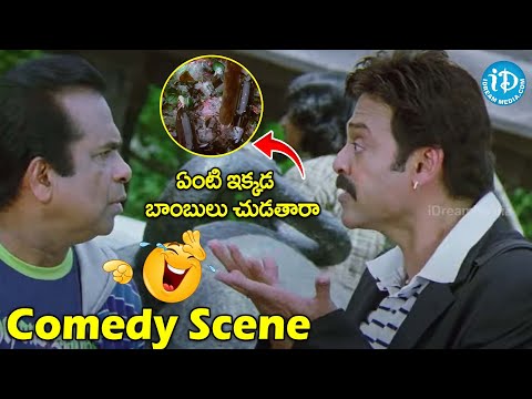 Namo Venkatesa Movie Venkatesh Brahmanandam Best Comedy Scene | @iDreamCelebrityMasti