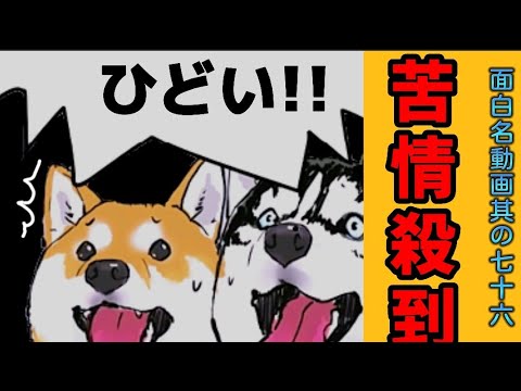 【世界の終わりに柴犬と】切り抜き編集 #76 《超VIP現る。》  #世界の終わりに柴犬と  #アニメ #柴犬