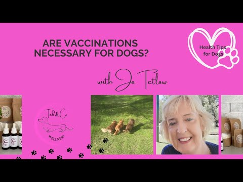 Are Vaccinations necessary in your dog