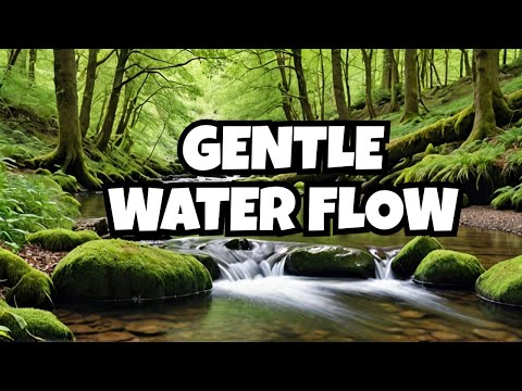 Total Relaxation  | Gentle Flowing Water Sounds for Sleeping, Stress Relief, Study - English Forest