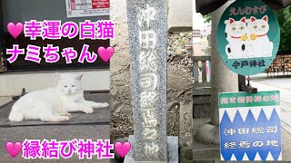 今戸神社　沖田総司終焉の地、招き猫発祥の地。縁結び神社として人気のスポット。東京浅草