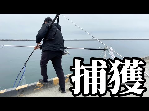 【北海道】【釣り】想定外の大物に大慌て‼️水中映像あり