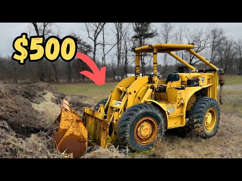 This Caterpillar Loader Died Over a Year Ago! Will it Start and Drive on the Trailer??