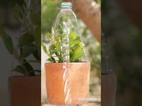 Pot hanger With Plastic Bottle