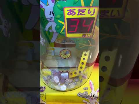 質より量だよ#メダルゲーム #ゲーセン #ゲームセンター #shorts #コインゲーム