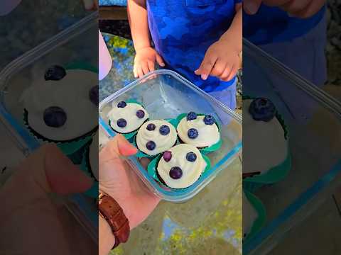 Blueberry Muffin Mix