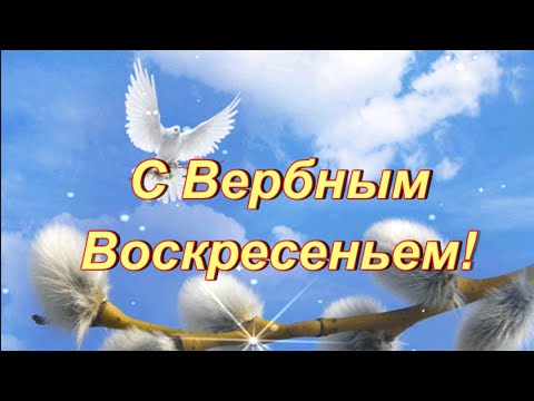 С Вербным Воскресеньем от души поздравляю, мира и счастья тебе я желаю!