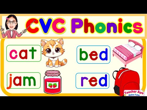 CVC Phonics | Words and Sentences | English Reading Practice for kids | Compilation