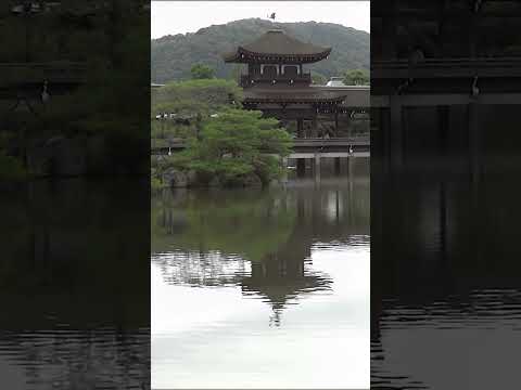 京都・濃緑の平安神宮(2012年・手振れ注意) #shorts #kyoto #Japan