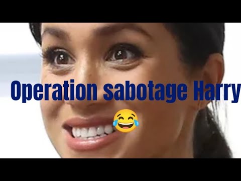 Operation sabotage Harry 😂