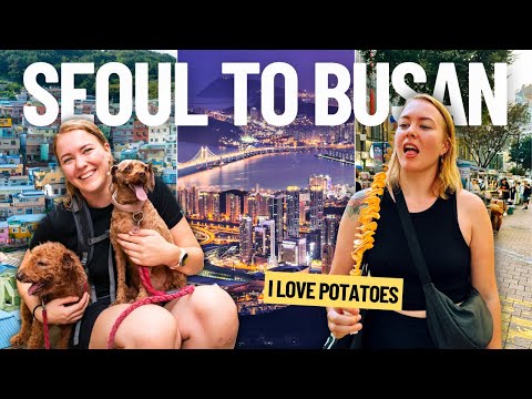 TRAVELING FROM SEOUL TO BUSAN 🇰🇷 (Korea travel vlog)