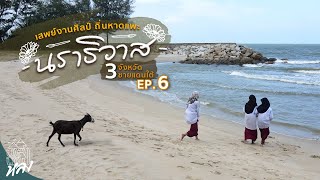 “นราธิวาส” 3 จังหวัดชายแดนใต้ EP.6 - ไปเที่ยวงานอาร์ท เยือนเมืองศิลป์!!!| อาสาพาไปหลง