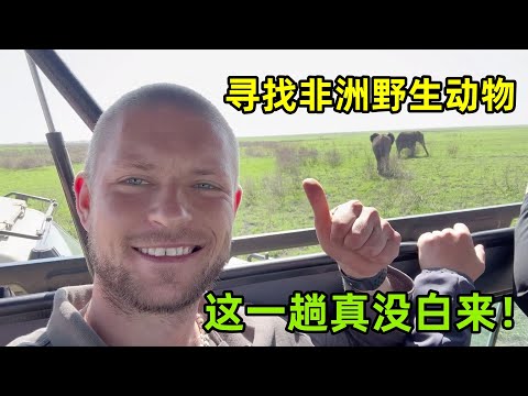 體驗非洲Safari，尋找野生動物真沒白來，被眼前一幕深深震撼！