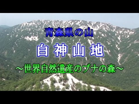 青森県の山　白神山地～世界自然遺産のブナの森～