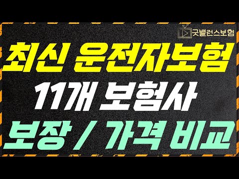 최신 운전자보험 11개 손해보험사 보장 / 가격 비교 및 추천플랜