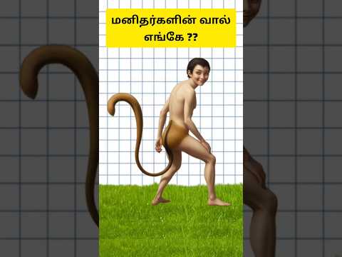 Human tail ?? #science #shorts #tamil #history