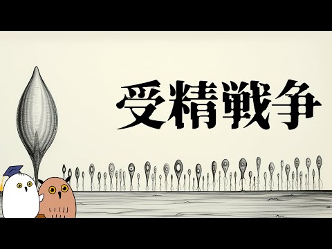 【ゆっくり解説】危険な領域に突入した精子競争【 進化論 / 科学 / 性教育 】