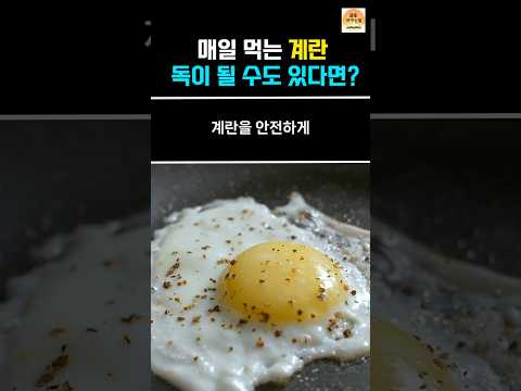 매일 먹는 계란이  독이 될수도 있다면?