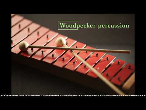 【フリーBGM】Woodpecker percussion