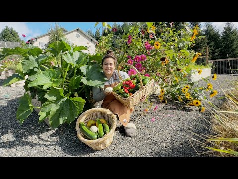 Making Dinner Right Out of the Garden and More!