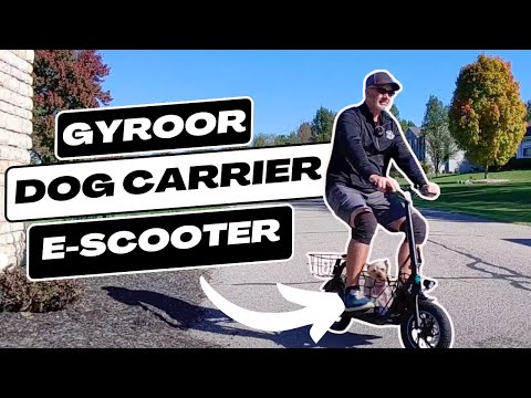 Gyroor C1S Electric Scooter for Pet & Cargo Review