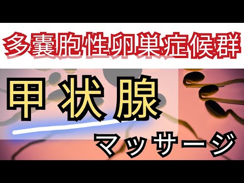 【多嚢胞性卵巣症候群】《痛くない》甲状腺マッサージで排卵バッチリ！！あなたもこれやって⭐︎