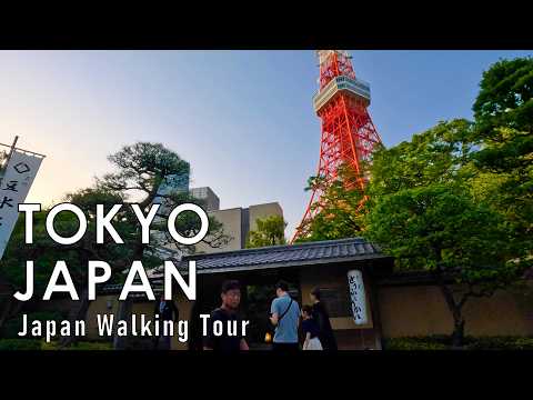 Tokyo City June 2024 Walking Tour in Japan 4K Tokyo Walking