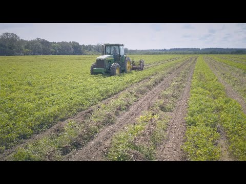 Diesel Fuel Burning and Fresh Plowed Dirt