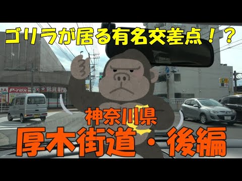 【検定路線探訪】ゴリラが居る有名な交差点がある！？厚木街道・後編