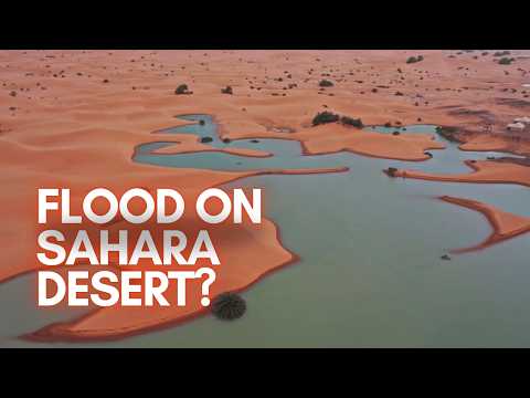 Sahara Desert Floods for First Time in Decades, Scientists are PANICKING