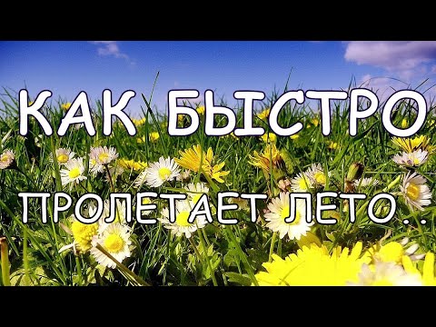 Как быстро пролетает лето..Красивые стихи про жизнь.Стихи под музыку.Музыка для души.