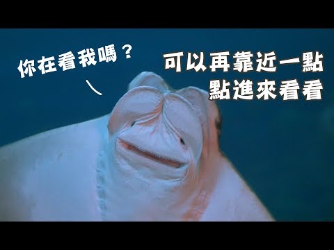 海生館導覽員＿屏東國立海洋生物博物館｜賈伯斯時間 - 職場達人的一天