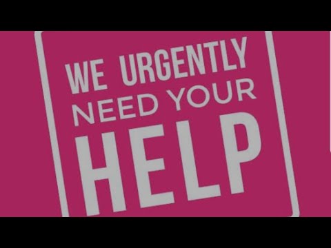 SOS URGENT HELP REQUIRED CMA TAX AUDIT