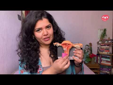 Menstrual cup (hindi) kya hai?