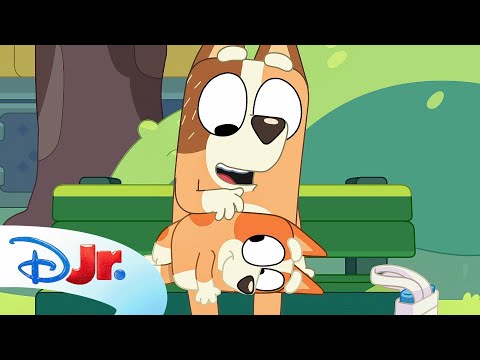 FULL BLUEY MINISODE | Animals | @disneyjr x @BlueyOfficialChannel