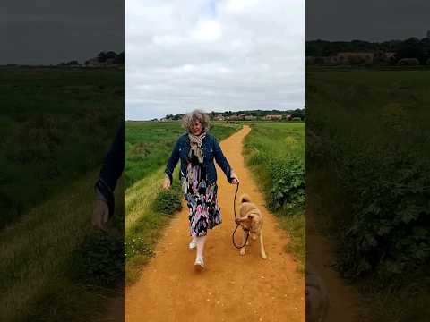 Blow away the cobweb. When renovating feels too much, a coastal walk with Maple is all that's needed