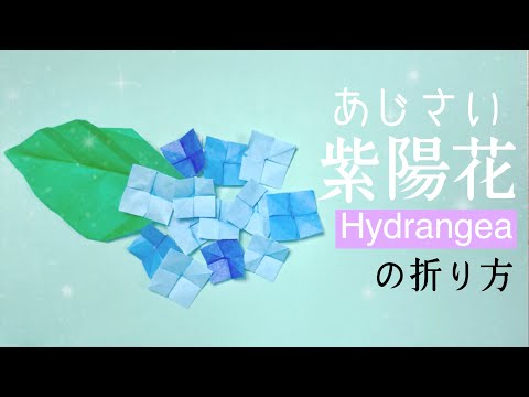 【折り紙】子供でも作れる♪簡単な紫陽花（あじさい）の花の作り方・折り方【origami】Easy ! Hydrangea