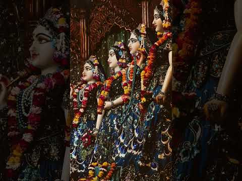 ♥️ Today's darshan of narasimha Deb, Radha Madhav, panchatatwa divine ♥️ 18/12/2024 #mayapuriskcon