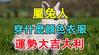 【生肖兔穿衣風水講究】屬兔的人穿什麽顔色衣服最好？運勢大吉大利！