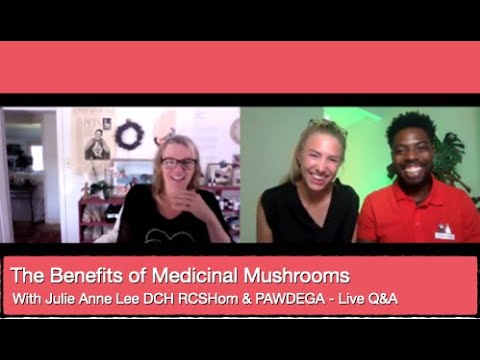 Julie Anne Lee DCH and PAWDEGA: The Benefits of Medicinal Mushrooms - Live Q&A