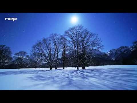 星空絶景2 ～知られざる夜の世界～ PR動画