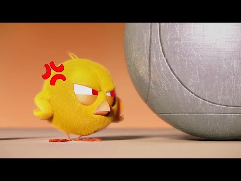 Chicky is angry | Where's Chicky? | Cartoon Collection in English for Kids | New episodes HD