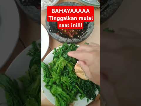 Daun pepaya ternyata berbahaya#daunpepaya #urapurap