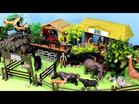 Animal Rescue Center Dioramas and Animal Figurines