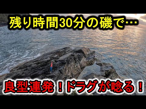 【炭火地鶏】宮崎遠征後編…苦戦続きもラスト30分に時合い突入で良型連発！