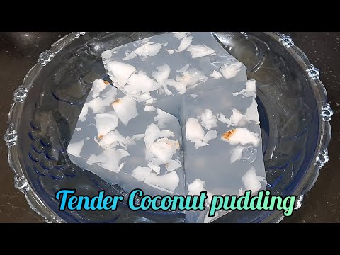 Tender Coconut pudding || Elaneer kadal Pasi || Tender Coconut Agar Agar || Iftar Dessert