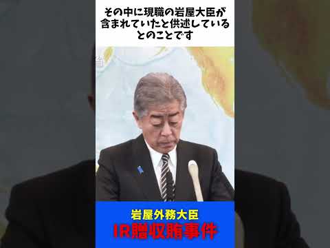 IR贈収賄事件 中国企業500ドットコム 元CEO潘正明 起訴 / 岩屋外務大臣 会見