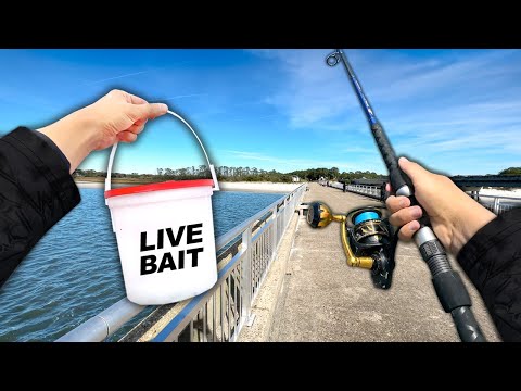 I caught a BEAST from the BRIDGE! (Catch and Cook)