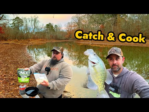 Crappie Bank Fishing Catch n Cook