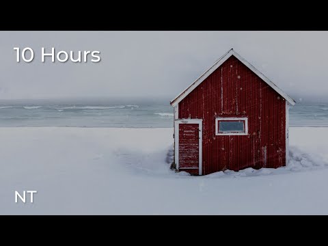 Winter Ocean Sounds on Snowy Beach: Gentle Waves & Cold Wind Sounds for Sleeping FAST: White Noise